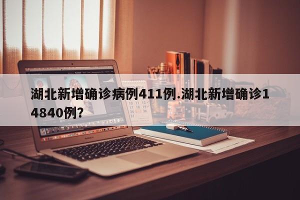 湖北新增确诊病例411例.湖北新增确诊14840例?
